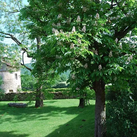 Bed and breakfast Mas De Garrigue - D'hôtes Calvignac