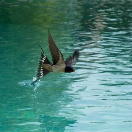 Mas De Garrigue - D'hôtes *
